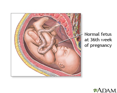 Pregnant Movements